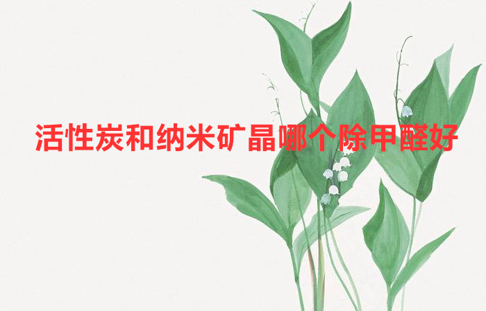 活性炭和納米礦晶哪個(gè)除甲醛好