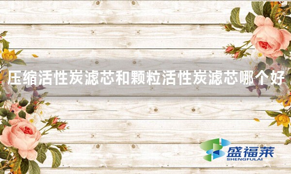 壓縮活性炭濾芯和顆?；钚蕴繛V芯哪個(gè)好 好在哪里？