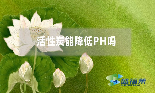 活性炭能降低PH嗎？為什么？