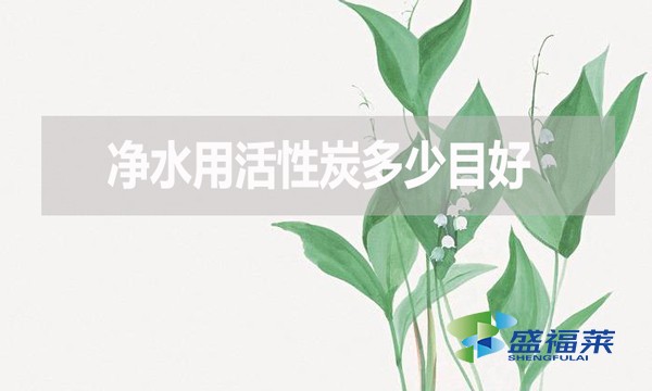 凈水用活性炭多少目好？有哪些優(yōu)缺點？