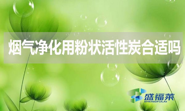 煙氣凈化用粉狀活性炭合適嗎？