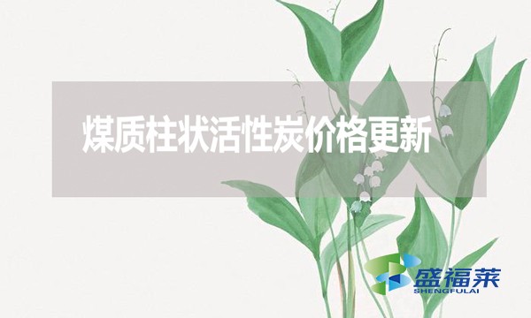 2024年7月23日煤質(zhì)柱狀活性炭價格更新