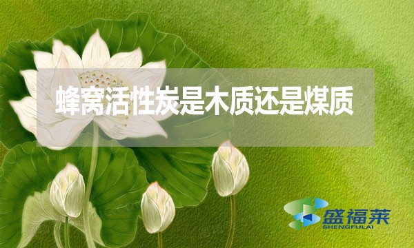 蜂窩活性炭是木質(zhì)還是煤質(zhì)？哪種好？