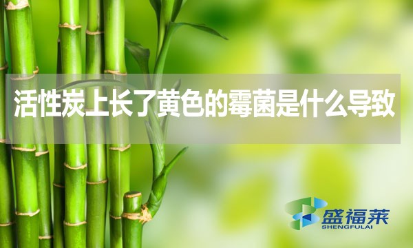 活性炭上長了黃色的霉菌是什么導(dǎo)致的？還能不能使用？